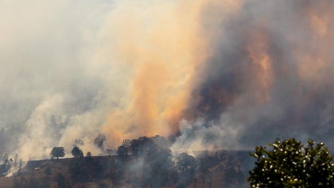 Photos of the hinterland fires taken on September 4 last year. Picture: Dirk Klynsmith/dirkklynsmithphotography.com