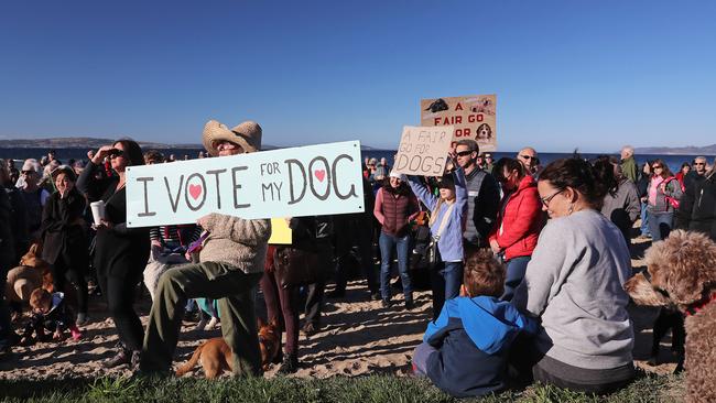 Protesters at today’s rally were reminded local government elections were not far away. Picture: LUKE BOWDEN