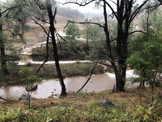 Kim Lewis was ecstatic when rain deluged on her property in Tamworth. Picture: Kim Lewis