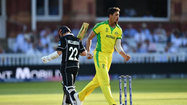 Mitchell Starc has spent plenty of the time celebrating recently. Picture: Getty