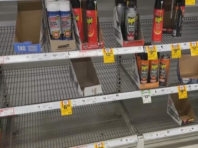 Supermarket shelves have been left bare as residents scramble to purchase bug spray to tackle the mosquitoes. Picture: Nine News