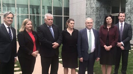 A bipartisan selection of South Australian MPs: Liberal senator Andrew McLachlan, Centre Alliance MP Rebekha Sharkie, Independent senator Rex Patrick, Greens Senator Sarah Hanson-Young, Labor senator Don Farrell, Labor senator Marielle Smith and Liberal MP James Stevens. Picture: Claire Bickers