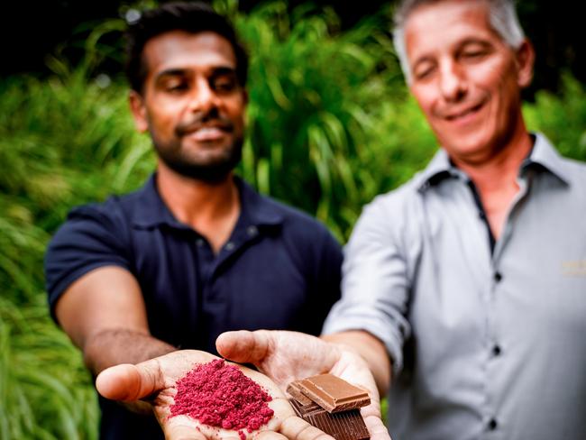 *** EMBARGOED - FOR TUESDAY, FEBRUARY 16 *** Warndu Co-Founder, Damien Coulthard and Haigh’s Chocolates Technical and Product Manager, Ben Kolly (light shirt). Picture: Mike Burton, taken at Adelaide Botanic Gardens.