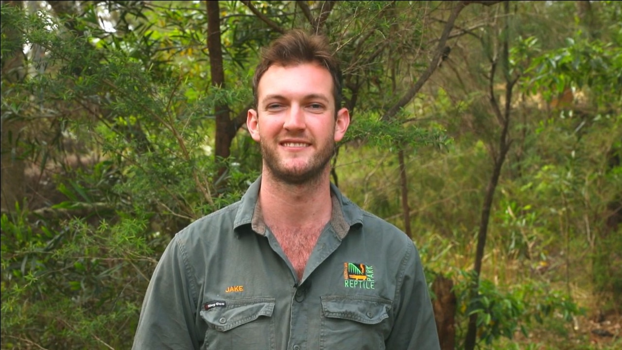 Australian Reptile Park head reptile keeper Jake Meney. Picture: Australian Reptile Park