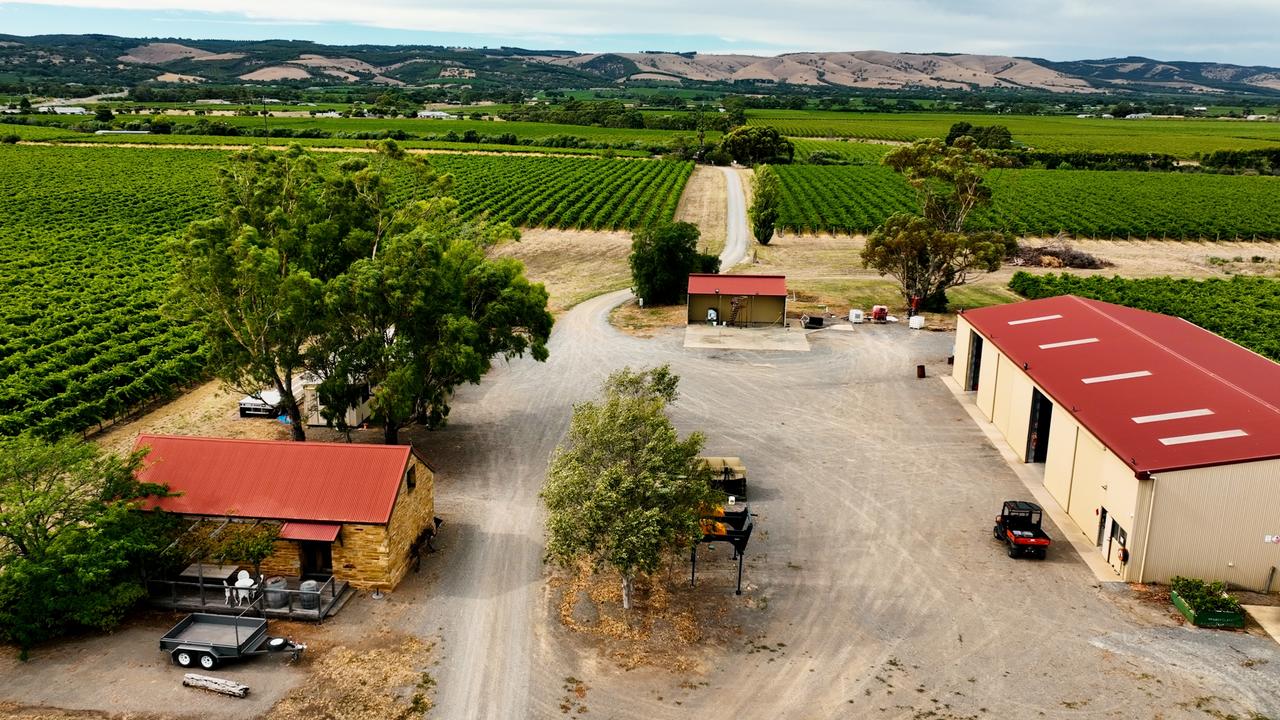 Shingleback winery, McLaren Vale. Pic: supplied.