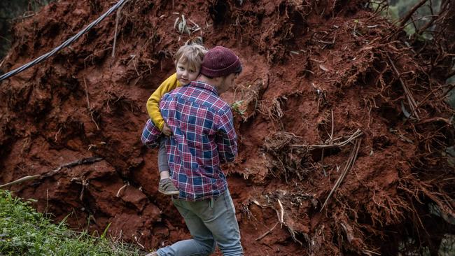 A family walks past the huge root ball of a collapsed tree near their Kalorama property. Picture: Jason Edwards