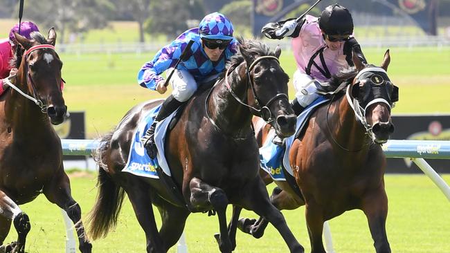 Trainer Charlotte Littlefield is desperate to get The Muffin Man into the Queensland Derby. Picture: Racing Photos via Getty Images