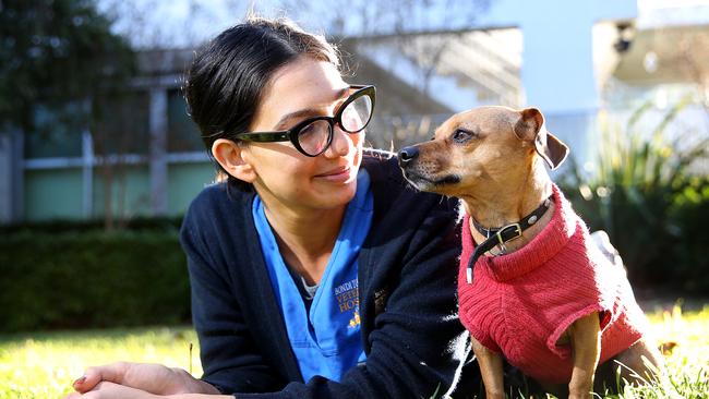 Bondi Junction veterinarian Babs Hernandez with her dog Indiana: “I think it’s really important the right regulations are put in place to protect pets.” Picture: Toby Zerna