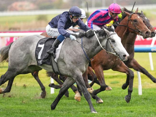 Public Attention (NZ) ridden by Ethan Brown wins the MRC Chairman's Club Handicap at Caulfield Racecourse on July 27, 2024 in Caulfield, Australia. (Photo by Scott Barbour/Racing Photos via Getty Images)