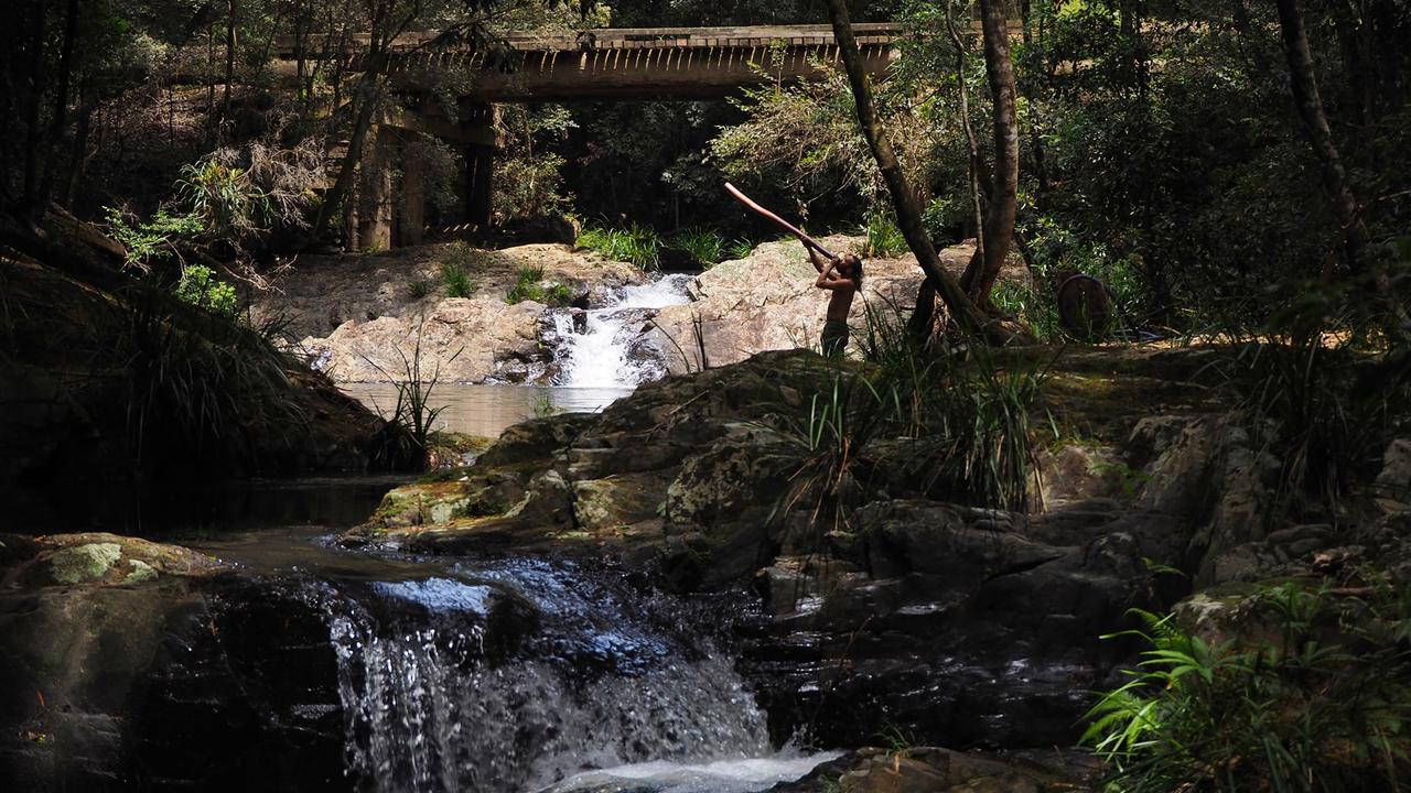 Thanks to Lynne East for this shot out near Cascade Falls. Coffs cover image.