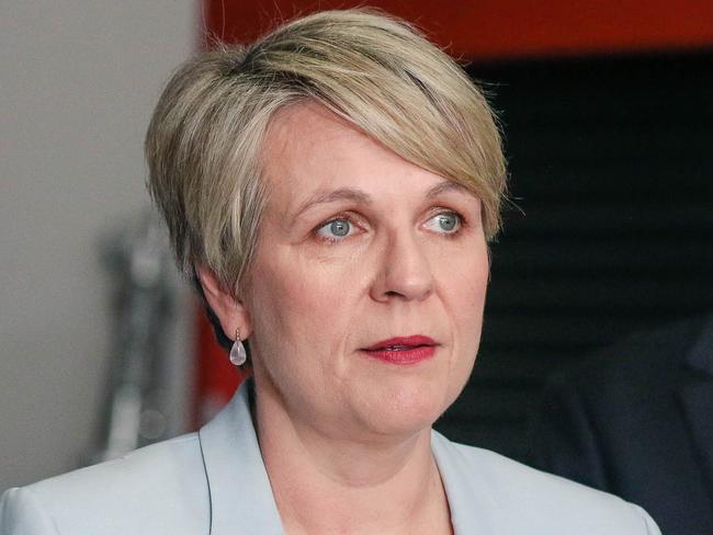 BRISBANE, AUSTRALIA - NCA NewsWire 15/05/23. Federal Environment Minister Tanya Plibersek  announces strategies to prepare Queensland for future natural disasters.Picture: Glenn Campbell