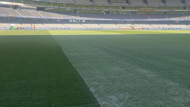 A strip of turf at Marvel Stadium has significantly less grass coverage following Pink's series of concerts at the venue over the last month. Picture: Ed Bourke