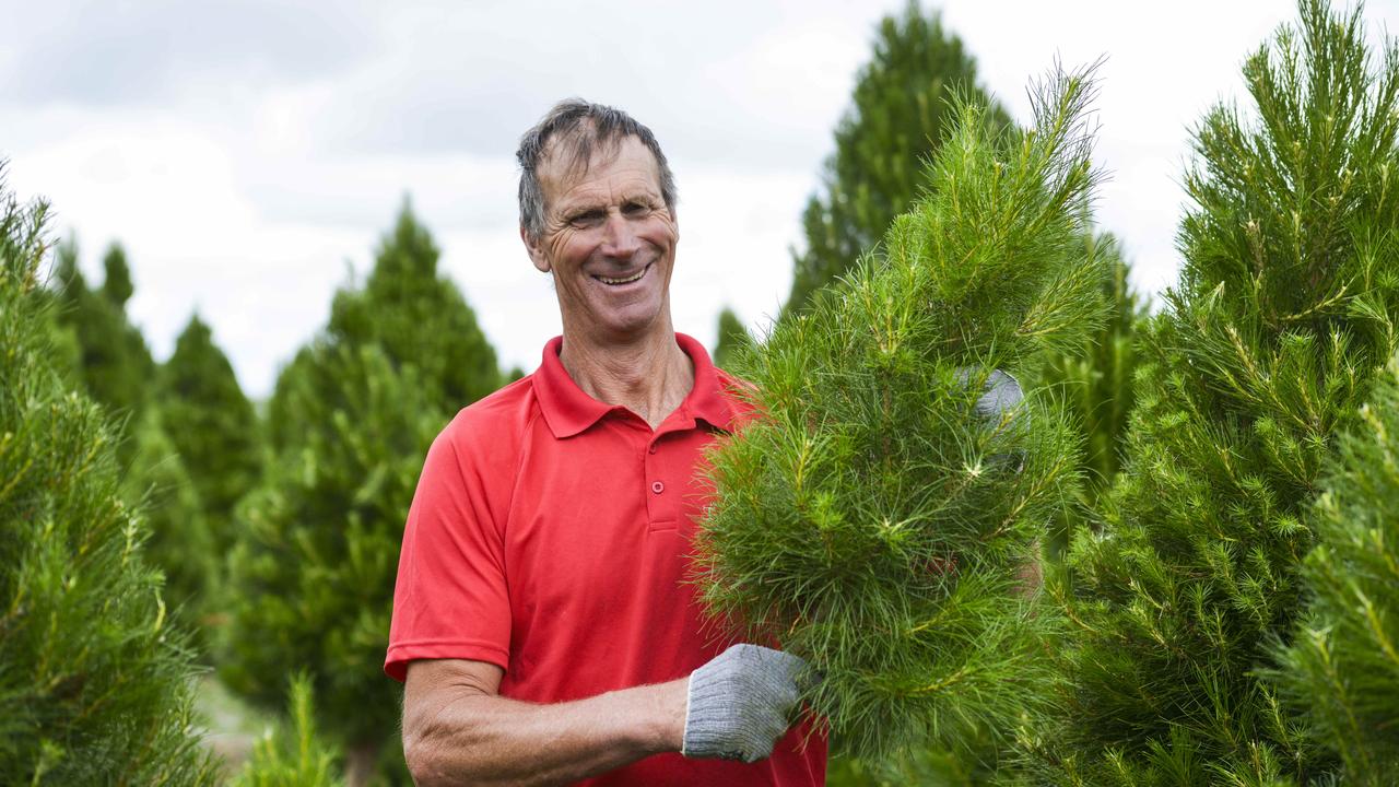 Dandenong Christmas Tree Farm owners flat out in preparation for