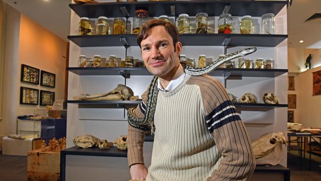 Dr Alessandro Palci, evolutionary biologist from Flinders University, with a Murray Darling python at the Discovery Centre at the SA Museum. Picture: Tom Huntley