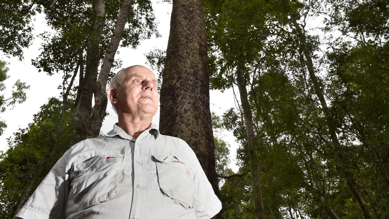 BUTTERFLY WALK: Hugh Krenske from Friends of the Escarpment Parks. Photo Bev Lacey / The Chronicle