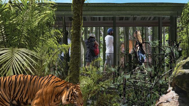 An artist’s impression of Taronga Zoo's planned Sumatran Tiger Experience.