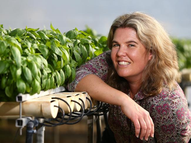 Hydroponic farmer Belinda Adams works on the farm at Gilston on the Gold Coast. Pics Adam Head