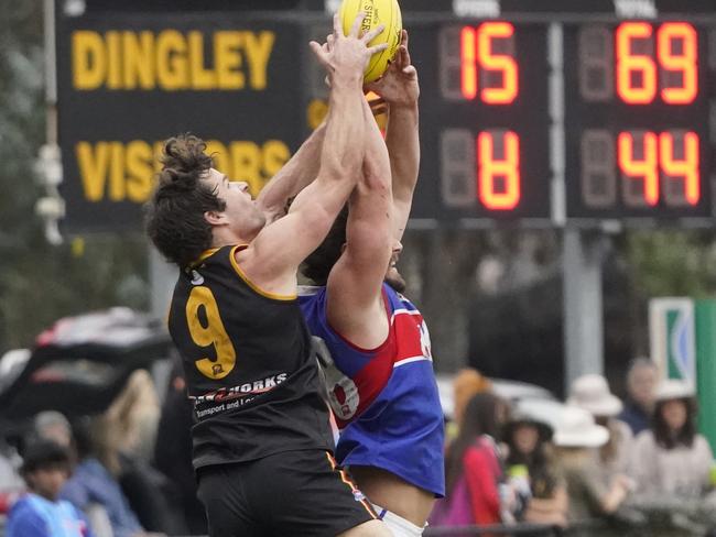 SFNL football: Division 1. Dingley v St Paul's McKinnon. Nathan Freeman (Dingley).  Picture: Valeriu Campan