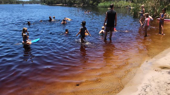 Lake Ainsworth, Lennox Head. Picture: Amanda Robbemond