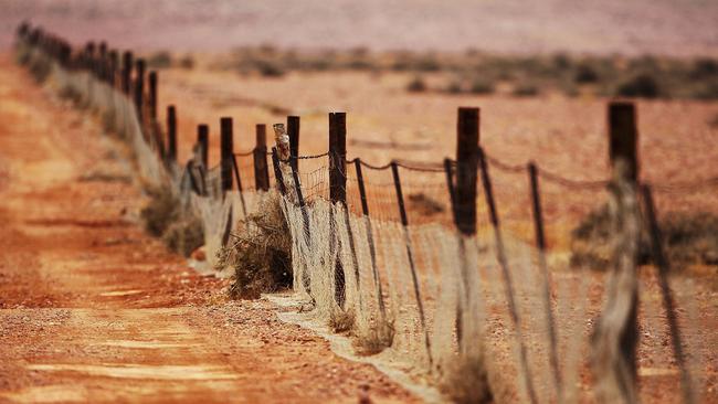 South Australia needs about 1600 kilometres of the new fencing.