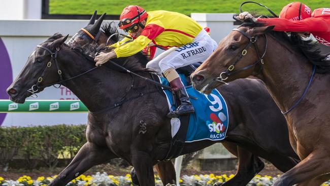 Pretty In Pink could be stripped of her win in the Moreton Cup last year. Picture: AAP