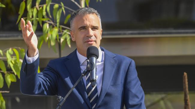 South Australian Premier Peter Malinauskas announced the new refugee support package before the Little Amal puppet. Picture: NCA NewsWire / RoyVphotography