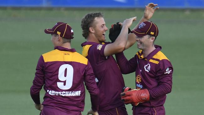 Connor Sully celebrates a wicket in the Marsh Cup for Queensland.