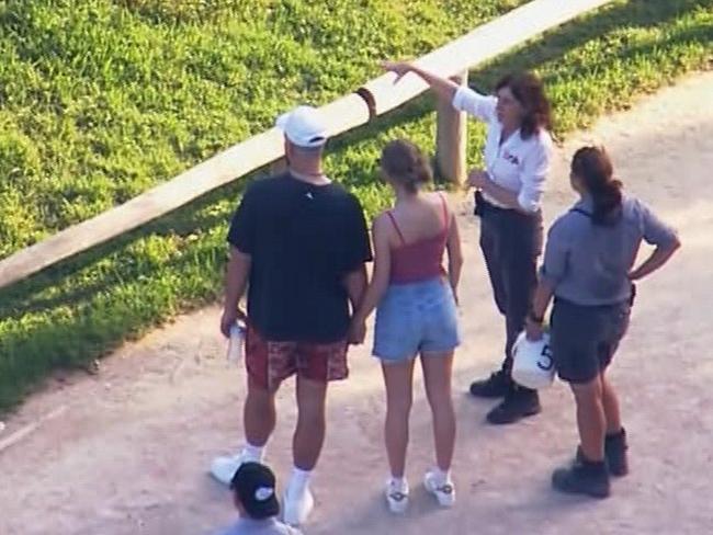 Taylor Swift and her boyfriend Travis Kelce pictured enjoying a Sydney Zoo together after Travis flow into Sydney this morning Picture 9News