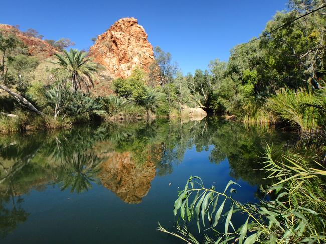 Palm Springs is an Oasis near Halls Creek, one of the region’s hidden secrets.