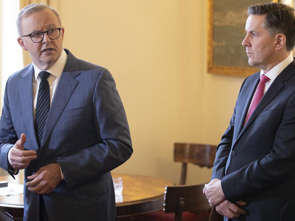 Prime Minister Anthony Albanese and Federal Health Minister Mark Butler at Hobart. Picture: Chris Kidd