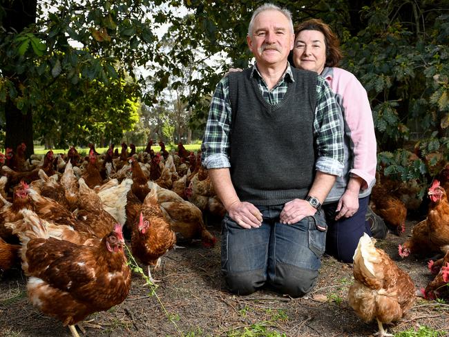 Eva and Janos Barabas are closing their Nirvana egg farm after 25 years. Picture: PENNY STEPHENS