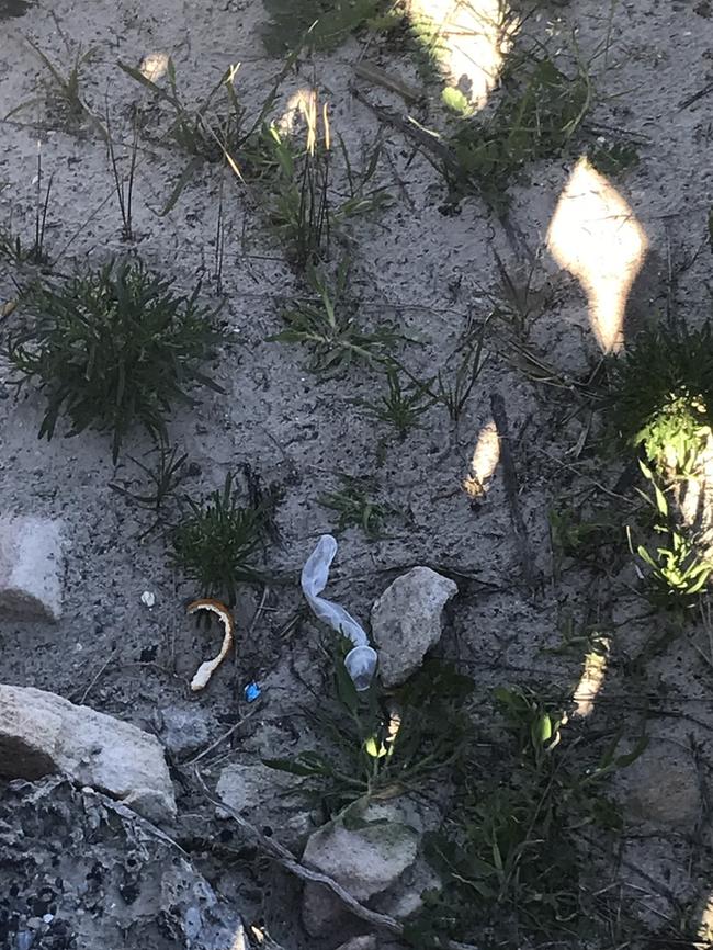 Condoms and other rubbish found in the Tennyson dunes.