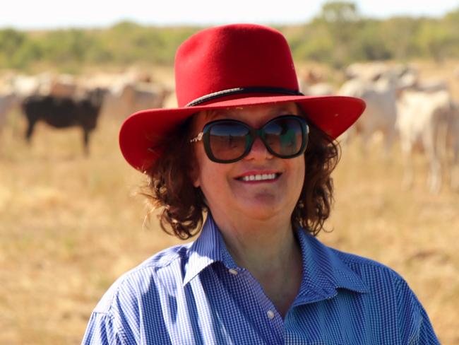 Rinehart selling $300m cattle portfolio