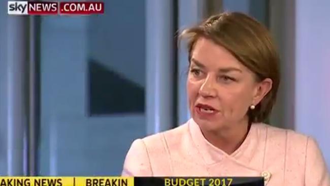 Anna Bligh argued the levy undermined the stability of the banks. Picture: Screengrab/Sky News