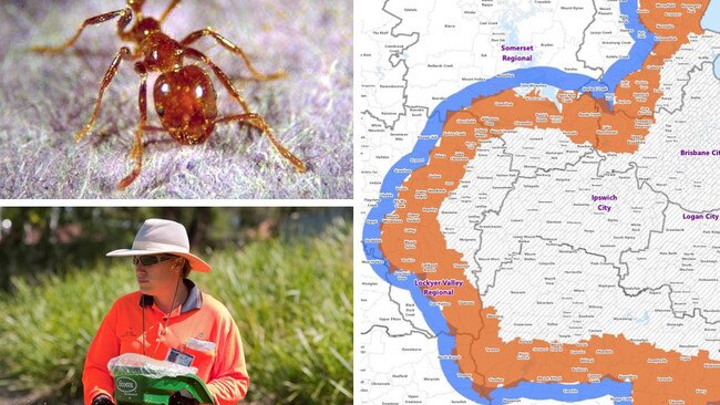 Chilling $118m warning on notorious pest