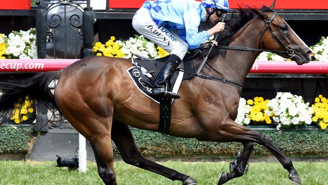 Race 6 Dwayne Dunn wins on Don't Doubt Mamma in the Lexus Hybrid Plate. 2015 Melbourne Cup Day at Flemington Racecourse, Melbourne. MelbourneCup15 Picture: Nicole Garmston