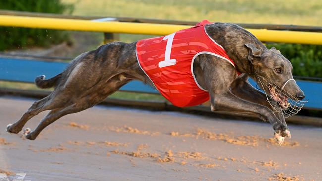 Victa Damian racing away for his Australian Cup heat victory Picture: Bluestream Pictures