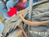 Public transport etiquette question has Aussies stumped