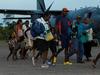 Territorians slam inadequate cyclone response