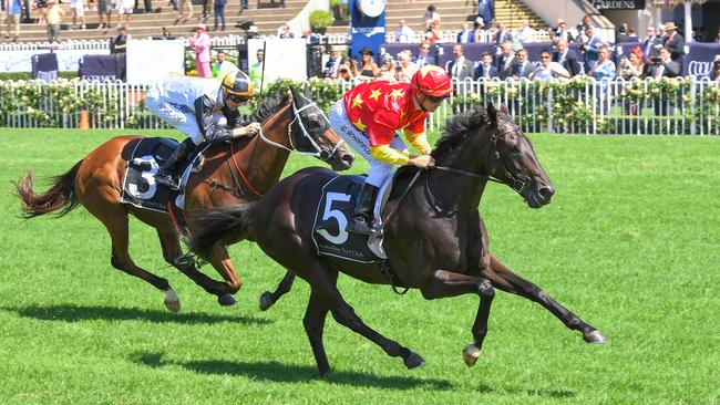 Jockey Glyn Schofield riding Auvray to win at Rosehill. Picture: AAP