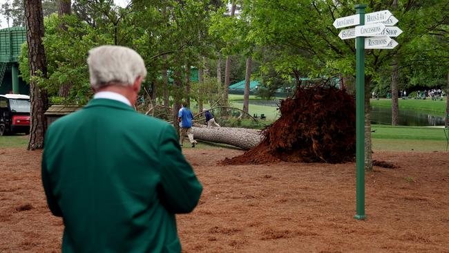 An Augusta National Golf Club member looks over a fallen tree on the 17th hole during the second round of the 2023 Masters Tournament. Picture: Getty Images