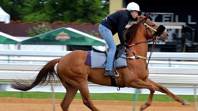 Justine Hale works Chris Waller runner Hawkspur at Flemington. Picture: Jay Town