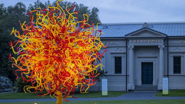 Dale Chihuly’s glass installation The Sun, at Adelaide Botanic Garden. Picture: Nathaniel Willson