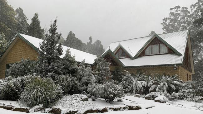 Snow falling thick and fast in Fern Tree, in Hobart, Tasmania on August 4, 2020. Picture: Iain Kelly