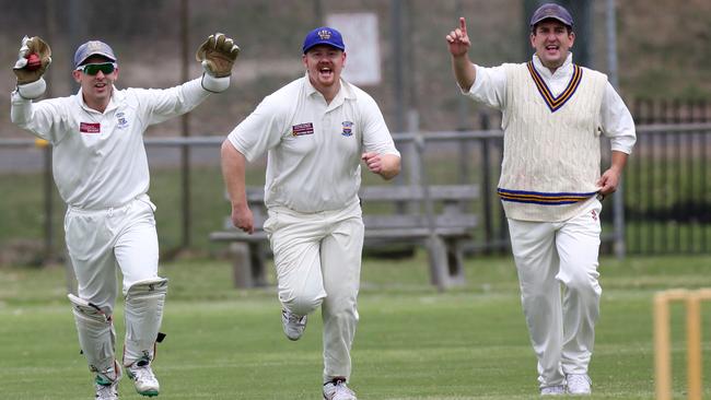 A Bulleen celebration. Picture: Stuart Milligan