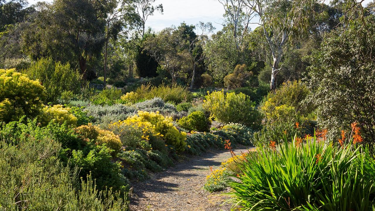 Belair National Park, Wittunga Botanic Garden Upgrade Funding 