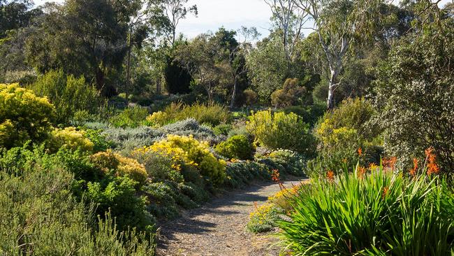 Wittunga Botanic Garden.