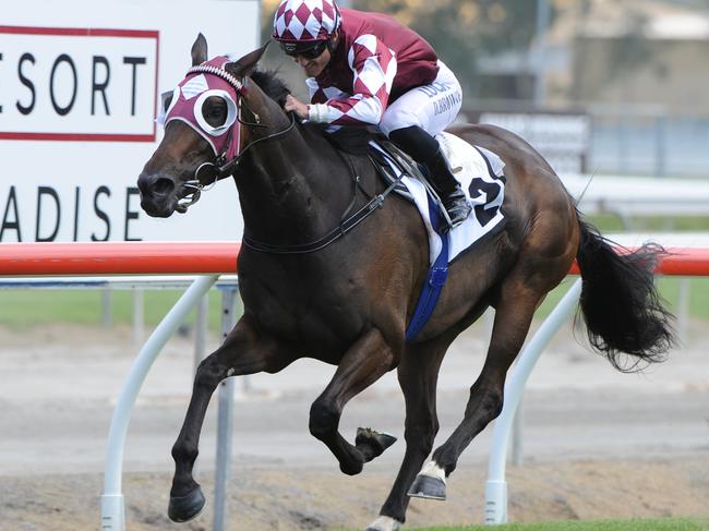 Damian Browne guides Tinto to victory in the Magic Millions Stayers Cup. Picture: Grant Peters, Trackside Photography