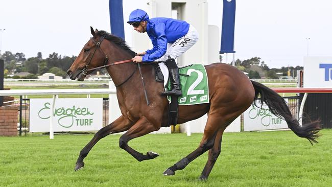 Kerguelen cruises to the line to win his debut at Kembla Grange on Saturday. Picture: Bradley Photos