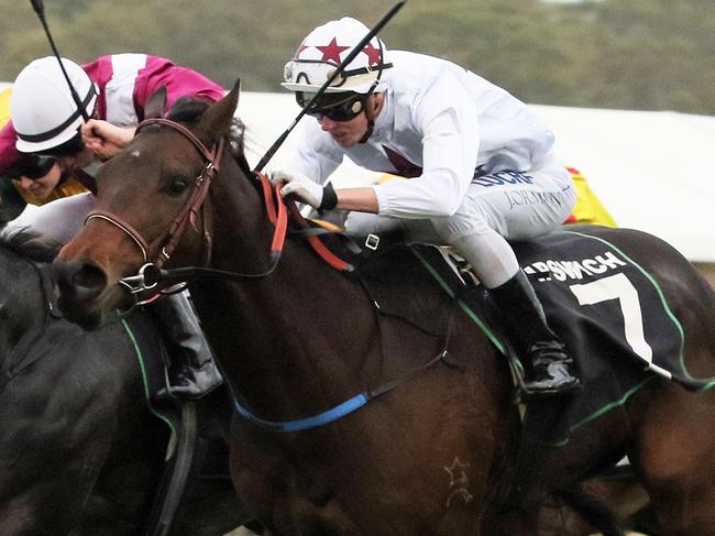 Race 8, winner No.7 Blueberry Hill, jockey James Orman, Ipswich Cup Day, Ipswich Turf Club - PHOTO Grant Peters, Trackside Photography